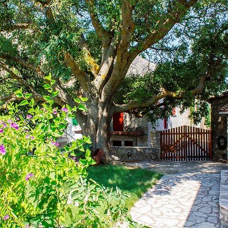 Menelia Cottage Platístoma Oda fotoğraf