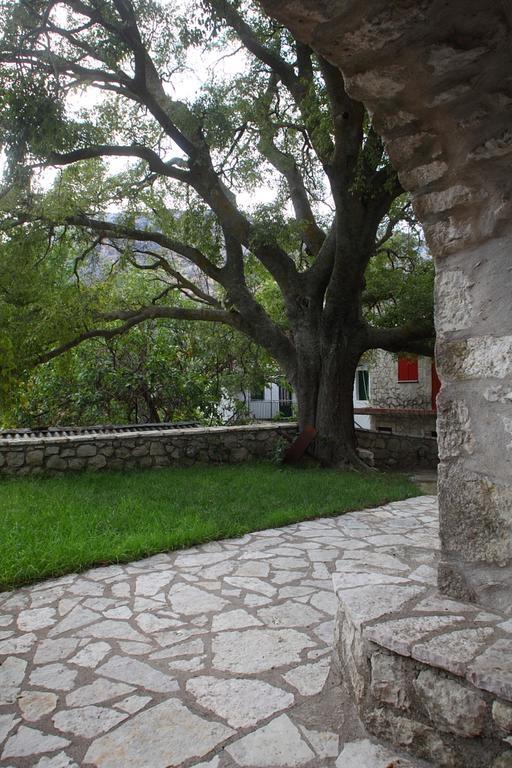 Menelia Cottage Platístoma Oda fotoğraf