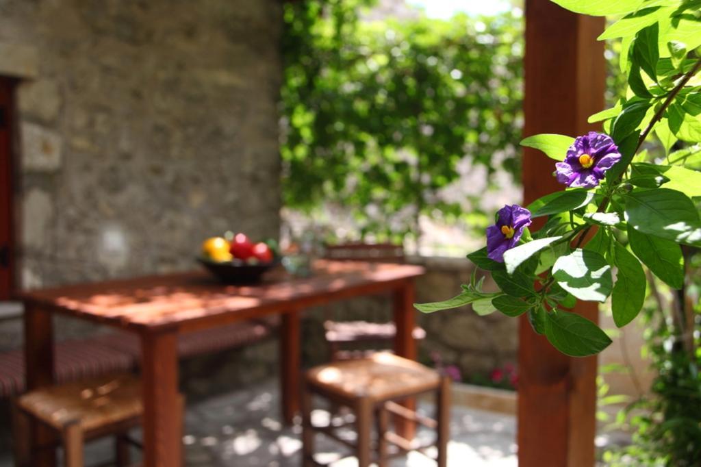 Menelia Cottage Platístoma Oda fotoğraf